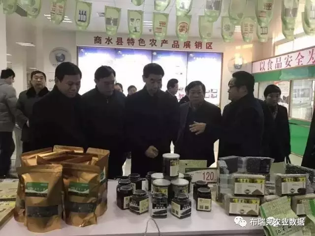 察布瑞克支持“互联网+农业”CQ9电子河南副省长王铁视(图4)