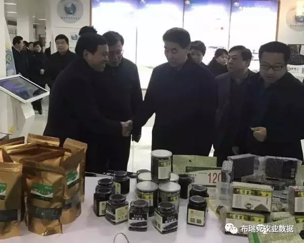 察布瑞克支持“互联网+农业”CQ9电子河南副省长王铁视(图5)